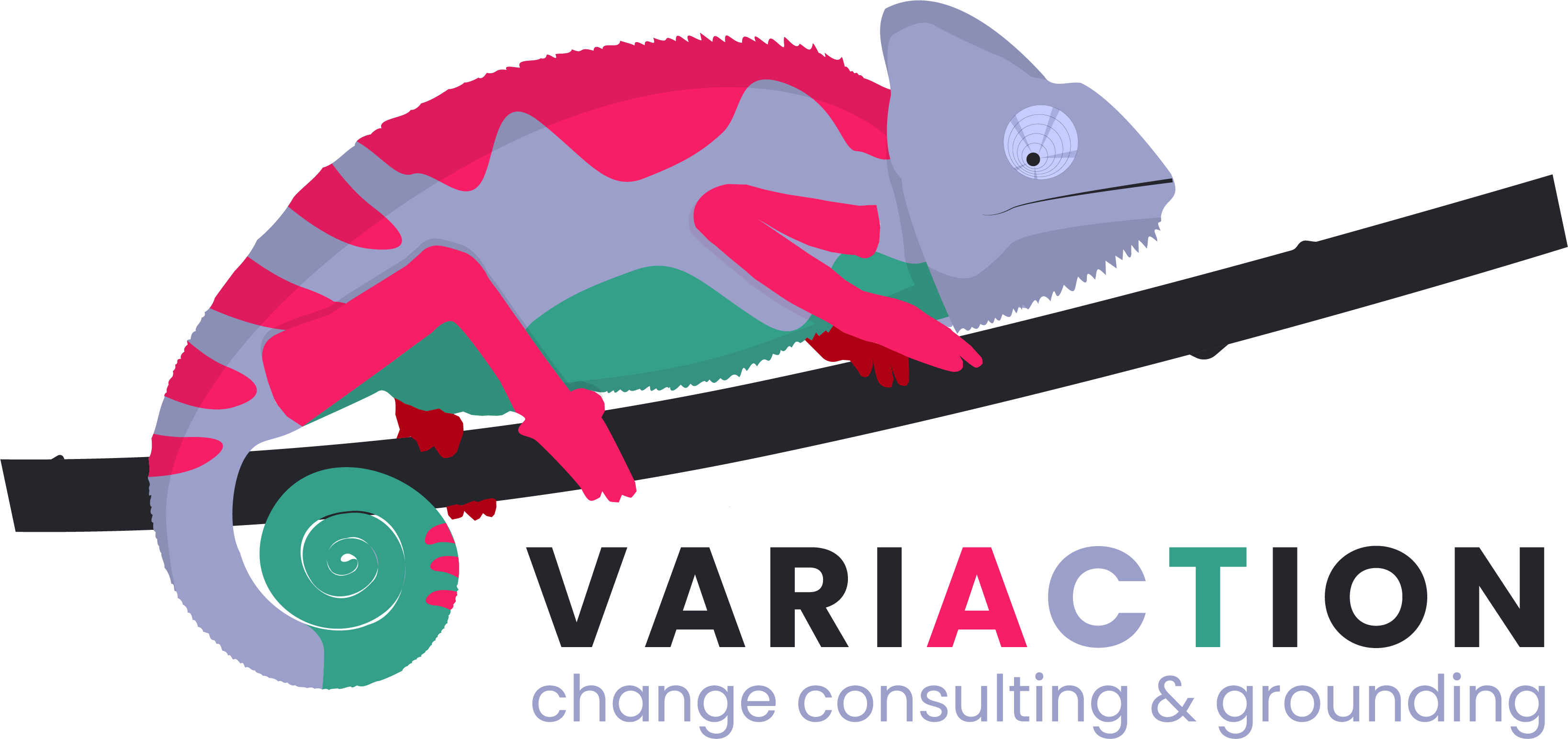 VARIACTION Logo